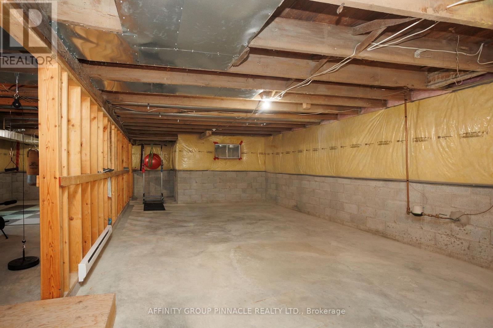 44 St Patrick Street, Kawartha Lakes, Ontario  K9V 1R3 - Photo 43 - X12881818