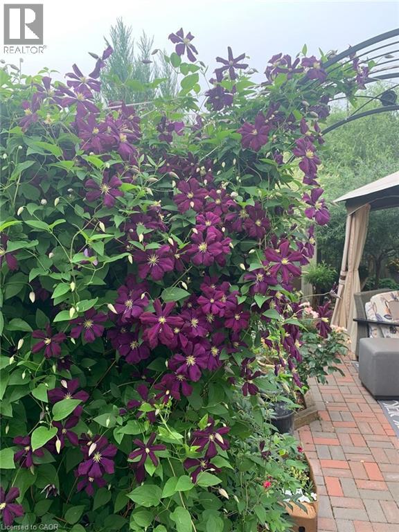 23 Hedge Lawn Drive, Grimsby, Ontario  L3M 5G9 - Photo 36 - 40810869