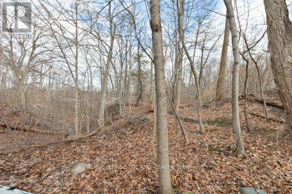 30 Elmwood Place, London South, Ontario  N6J 1J2 - Photo 36 - X12881856