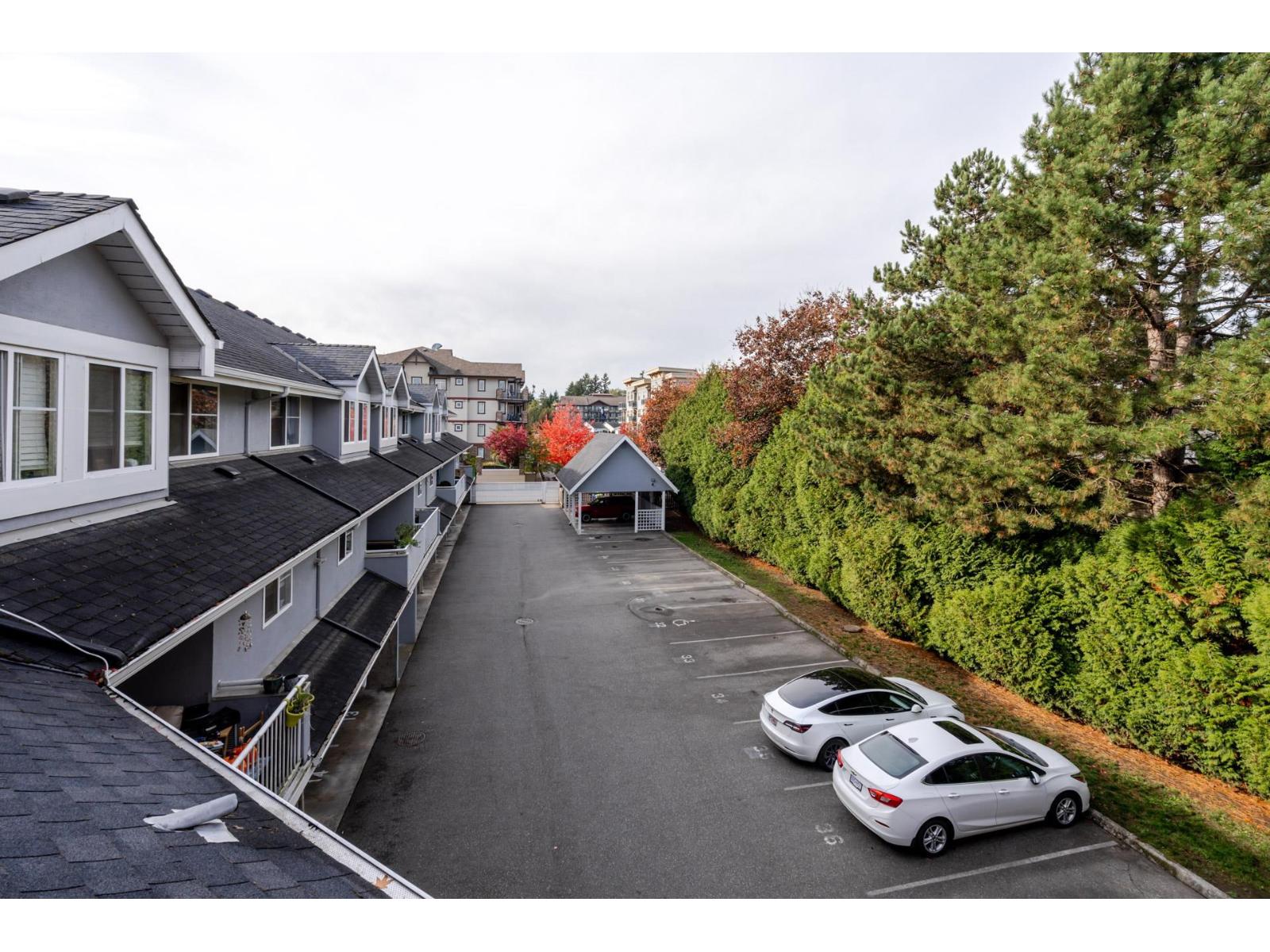 214 19953 55a Avenue, Langley, British Columbia  V3A 3X4 - Photo 26 - R3099417