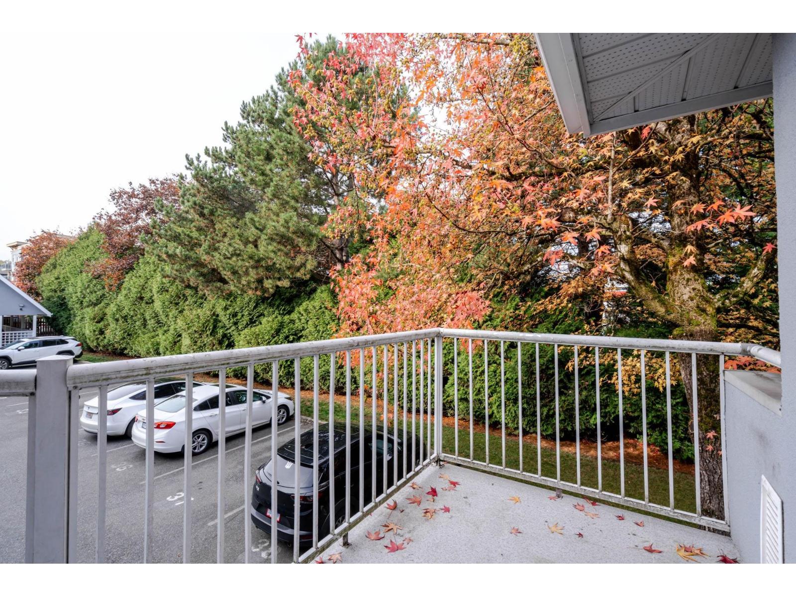 214 19953 55a Avenue, Langley, British Columbia  V3A 3X4 - Photo 18 - R3099417