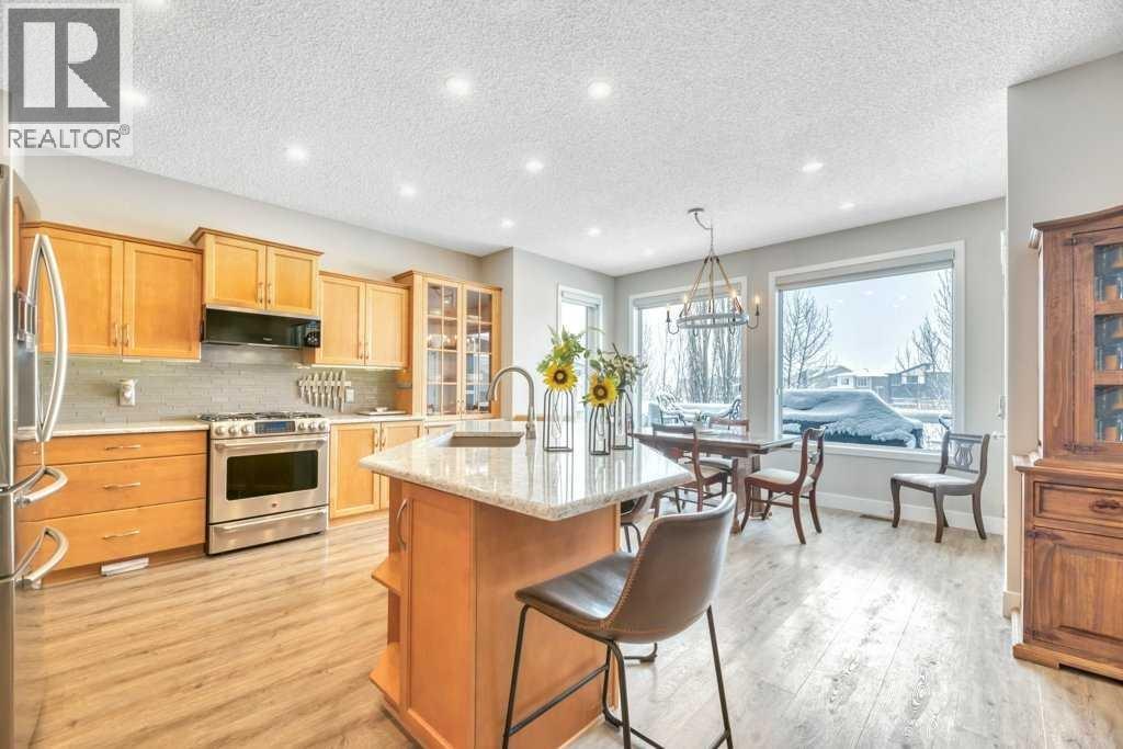 392 Rainbow Falls Way, Chestermere, Alberta  T1X 1S6 - Photo 16 - A2293151