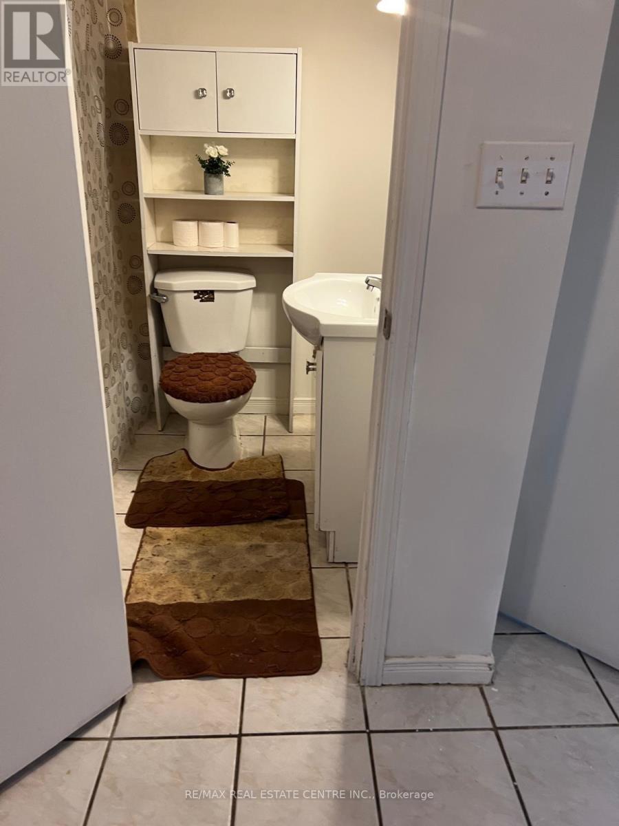 Lower - 45 Autumn Boulevard, Brampton, Ontario  L6T 2W1 - Photo 2 - W12881870