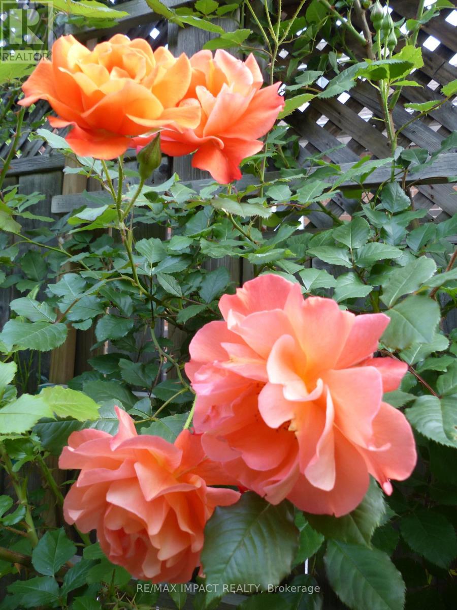 620 Christie Avenue, Oshawa, Ontario  L1G 4L7 - Photo 32 - E12881800