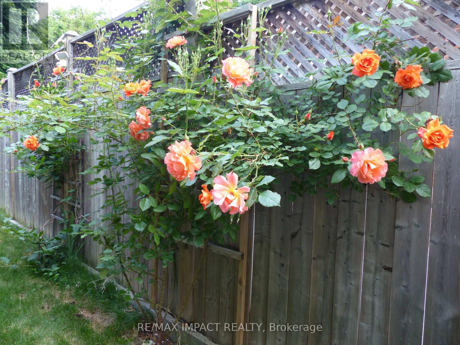 620 Christie Avenue, Oshawa, Ontario  L1G 4L7 - Photo 33 - E12881800