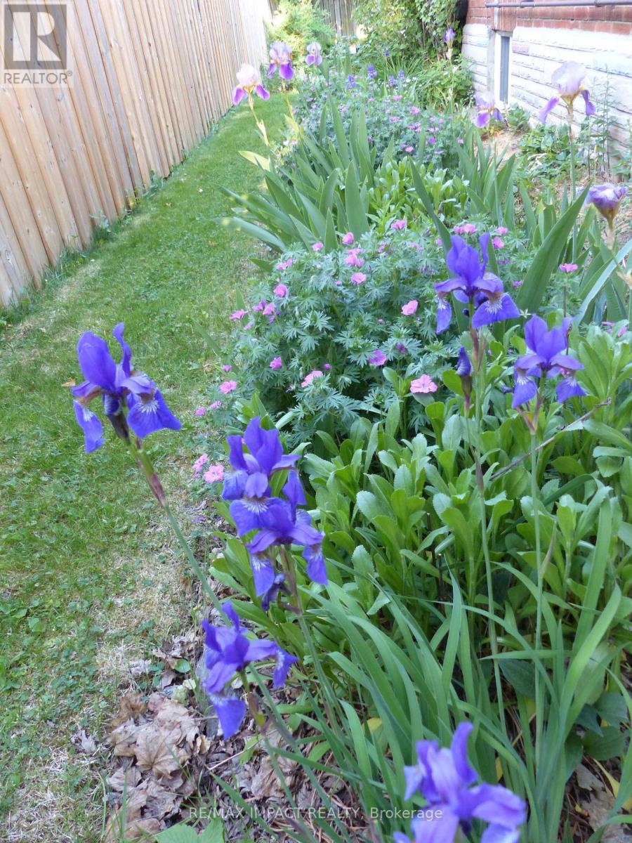 620 Christie Avenue, Oshawa, Ontario  L1G 4L7 - Photo 29 - E12881800