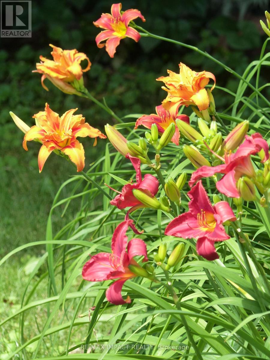 620 Christie Avenue, Oshawa, Ontario  L1G 4L7 - Photo 31 - E12881800