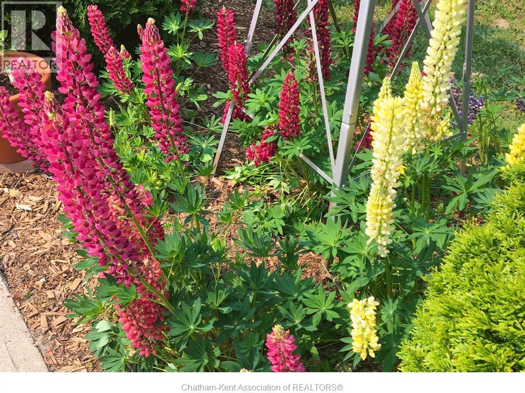 412 Gregory Drive East, Chatham, Ontario  N7M 5J7 - Photo 44 - 26004943