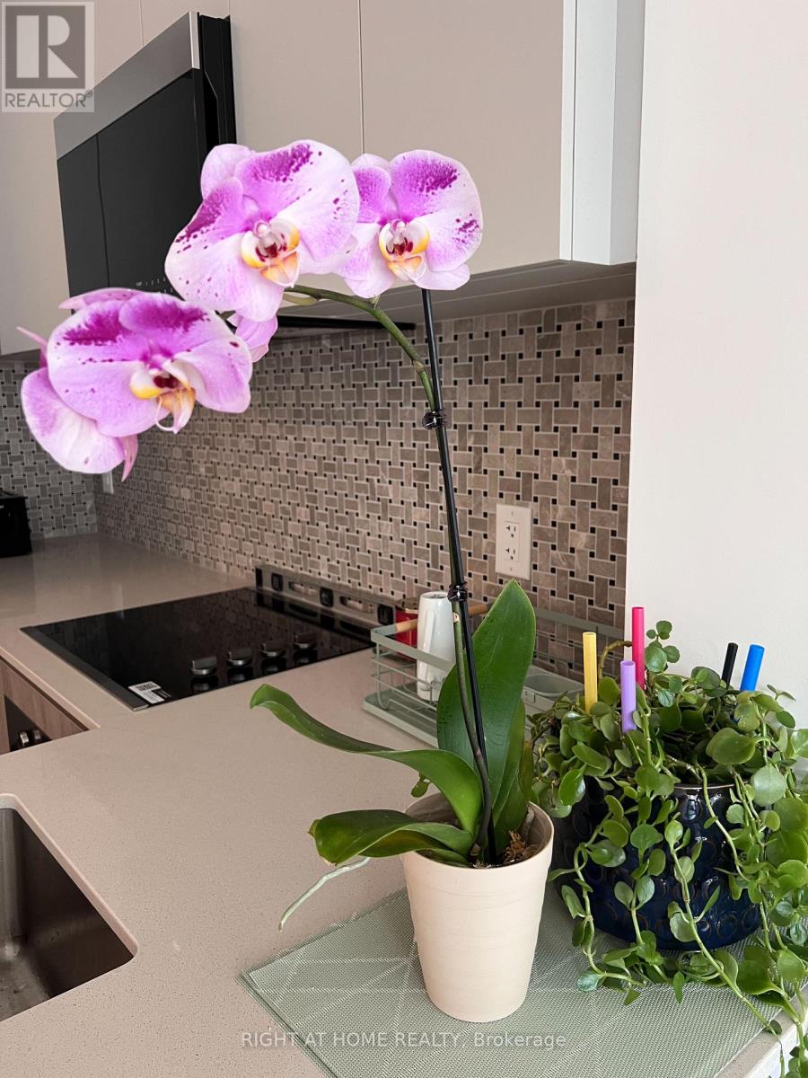 614 - 2485 Eglinton Avenue W, Mississauga, Ontario  L5M 0P3 - Photo 36 - W12875864