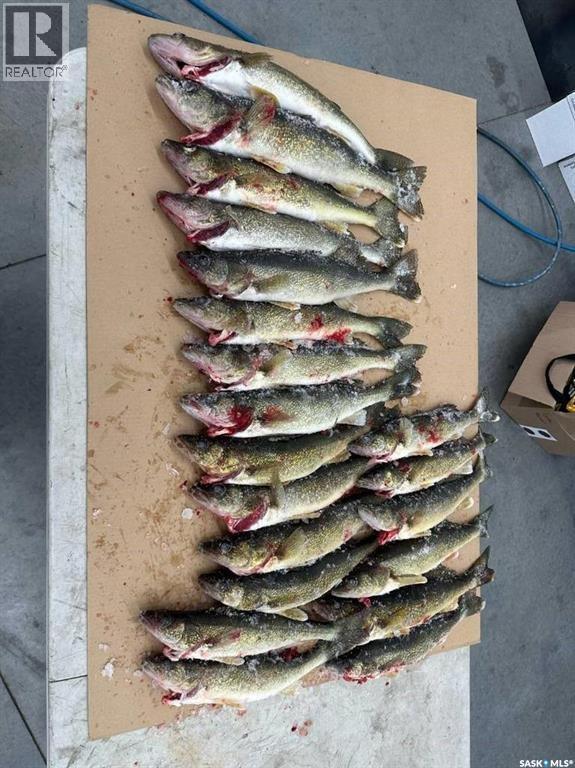 32 Sturgeon Street, Shellbrook Rm No. 493, Saskatchewan  S0J 2E1 - Photo 38 - SK030430