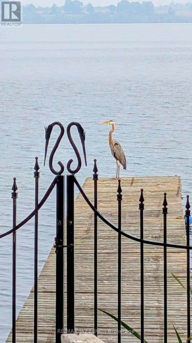 122 Morris Lane, Scugog, Ontario  L0B 1L0 - Photo 38 - E12881938