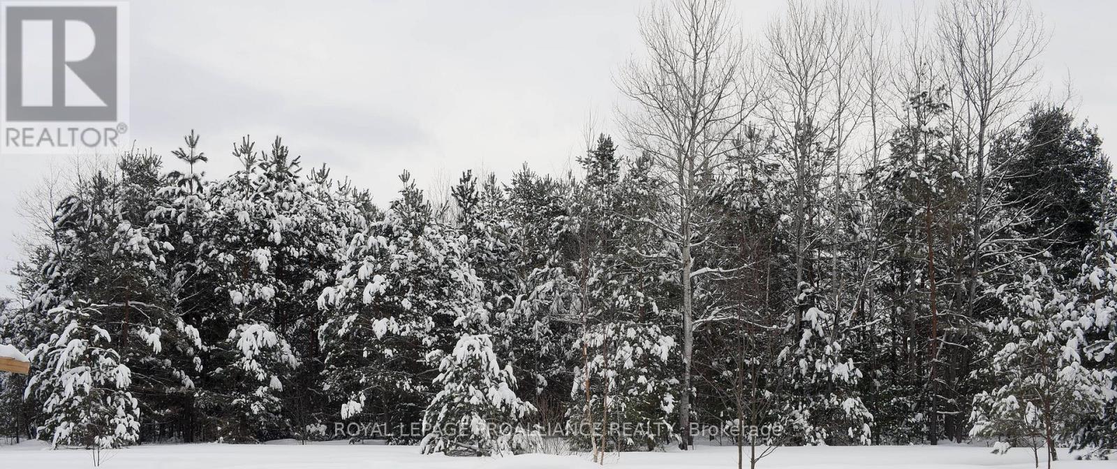 0 Airport Road, Addington Highlands (Addington Highlands), Ontario  K0H 2G0 - Photo 1 - X12882044