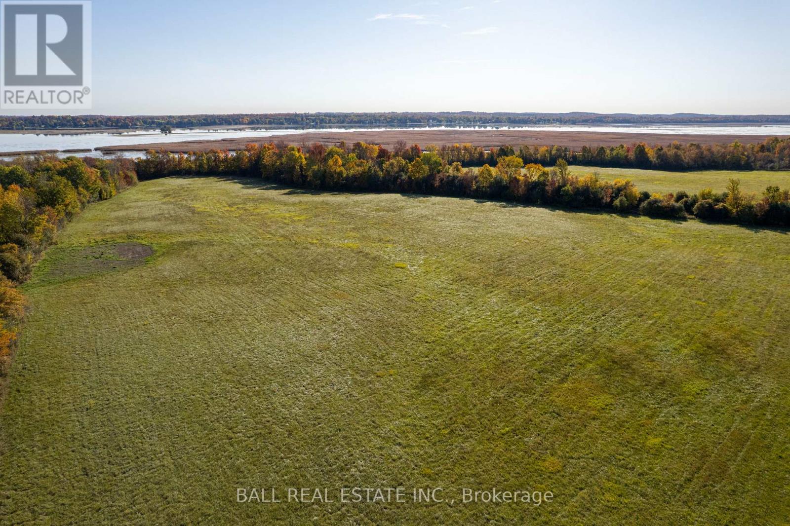 2218 Pigeon Lake Road, Kawartha Lakes, Ontario  K0M 1A0 - Photo 4 - X12882056