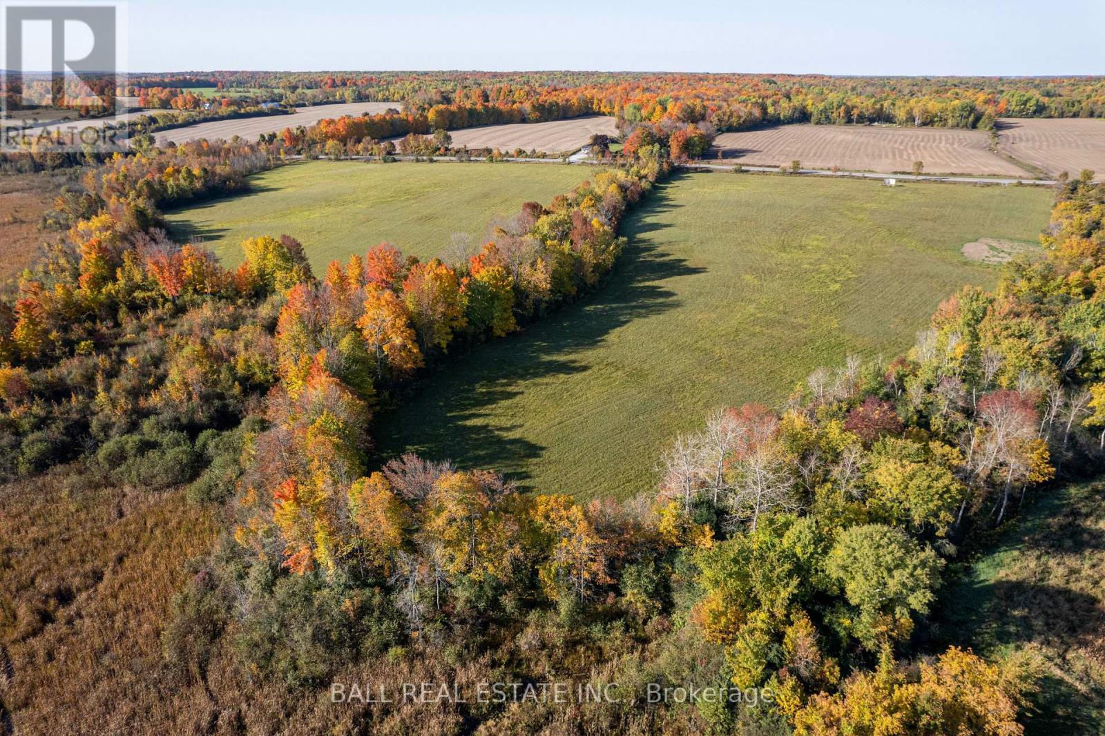 2218 Pigeon Lake Road, Kawartha Lakes, Ontario  K0M 1A0 - Photo 8 - X12882056