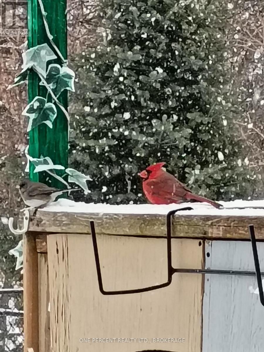 163 Greenhill Lane, Belleville (Belleville Ward), Ontario  K8N 0C7 - Photo 43 - X12879728