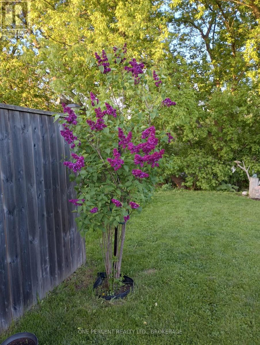 163 Greenhill Lane, Belleville (Belleville Ward), Ontario  K8N 0C7 - Photo 41 - X12879728