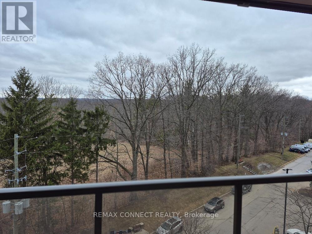 904 - 1964 Main Street W, Hamilton, Ontario L8S 1J5 - Photo 5 - X12882106