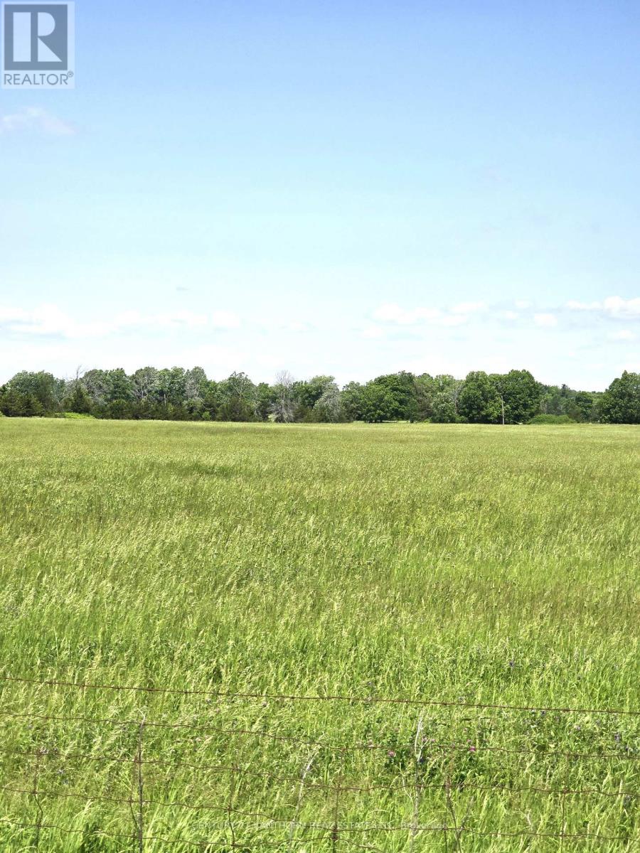 4893 Old Highway 2 Highway, Belleville, Ontario  K8V 1M1 - Photo 35 - X12882286