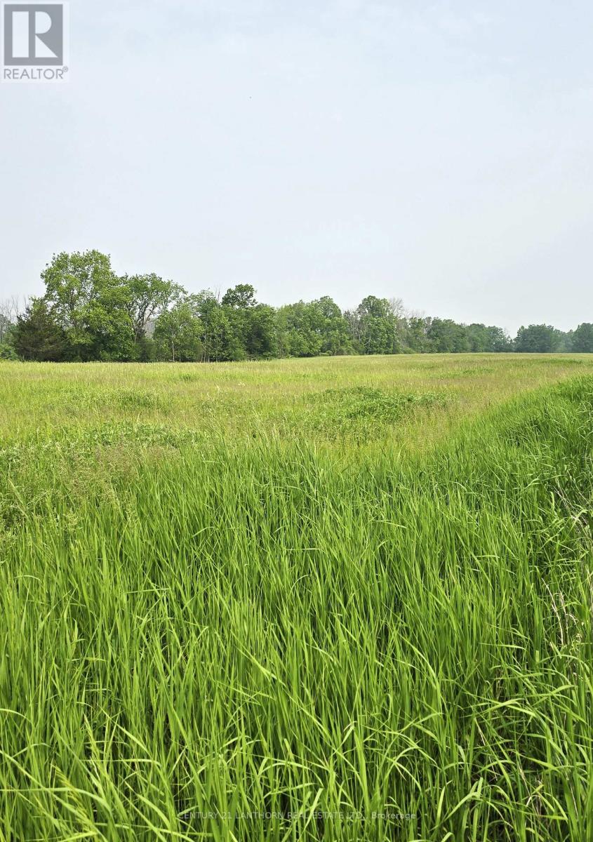 4893 Old Highway 2 Highway, Belleville, Ontario  K8V 1M1 - Photo 47 - X12882286