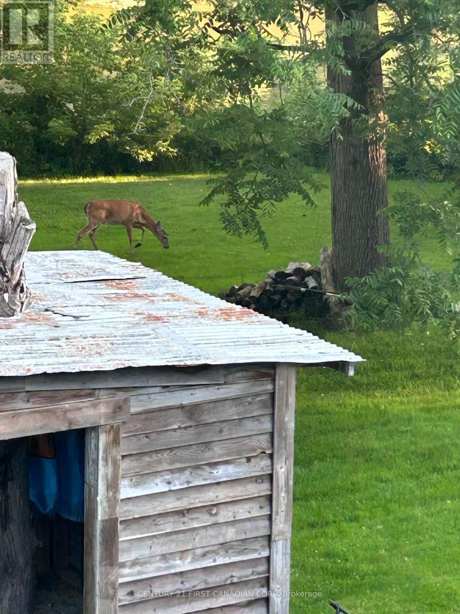 4379 Catherine Street, Thames Centre, Ontario  N0L 1G6 - Photo 3 - X12882232