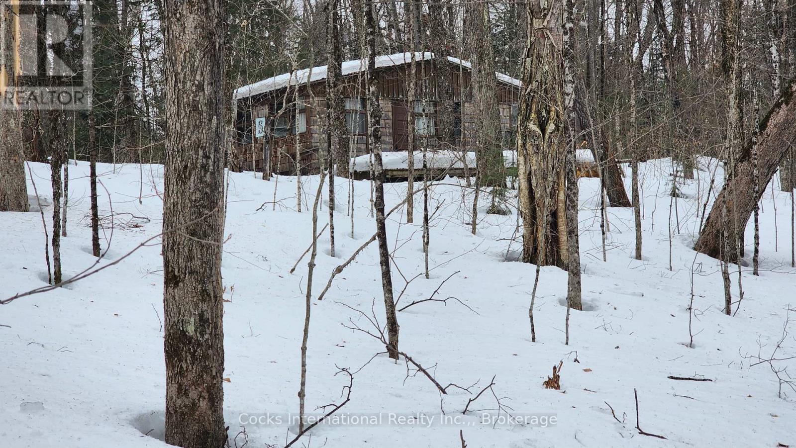 1165 Spring Lake Road, Bracebridge, Ontario  P1L 1X1 - Photo 15 - X12882212