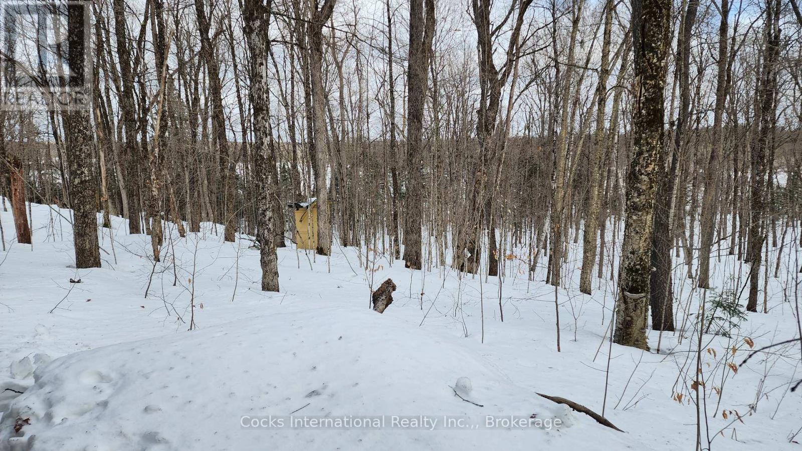 1165 Spring Lake Road, Bracebridge, Ontario  P1L 1X1 - Photo 17 - X12882212