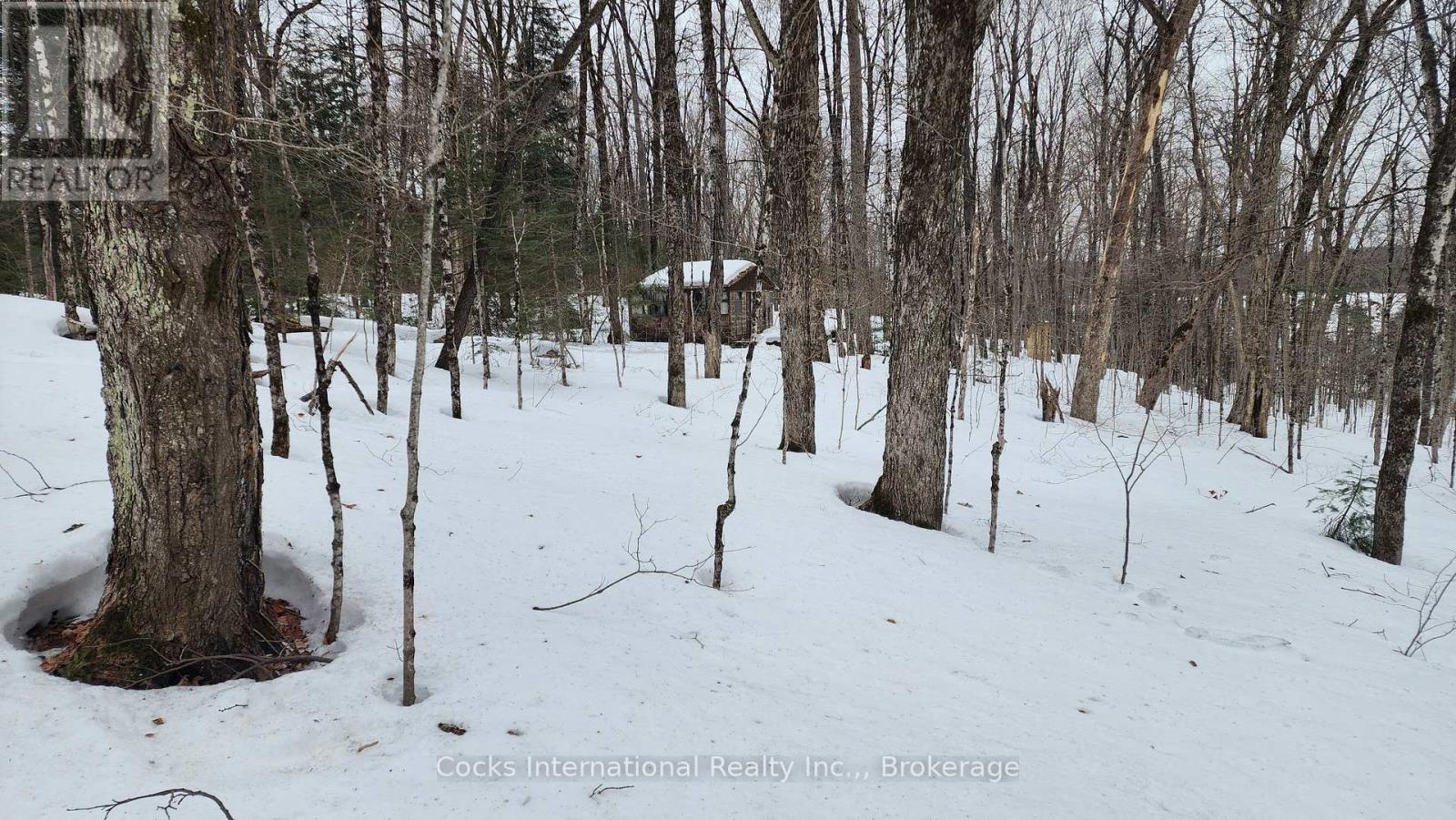 1165 Spring Lake Road, Bracebridge, Ontario  P1L 1X1 - Photo 2 - X12882212