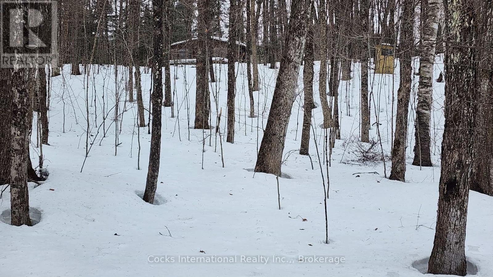 1165 Spring Lake Road, Bracebridge, Ontario  P1L 1X1 - Photo 20 - X12882212