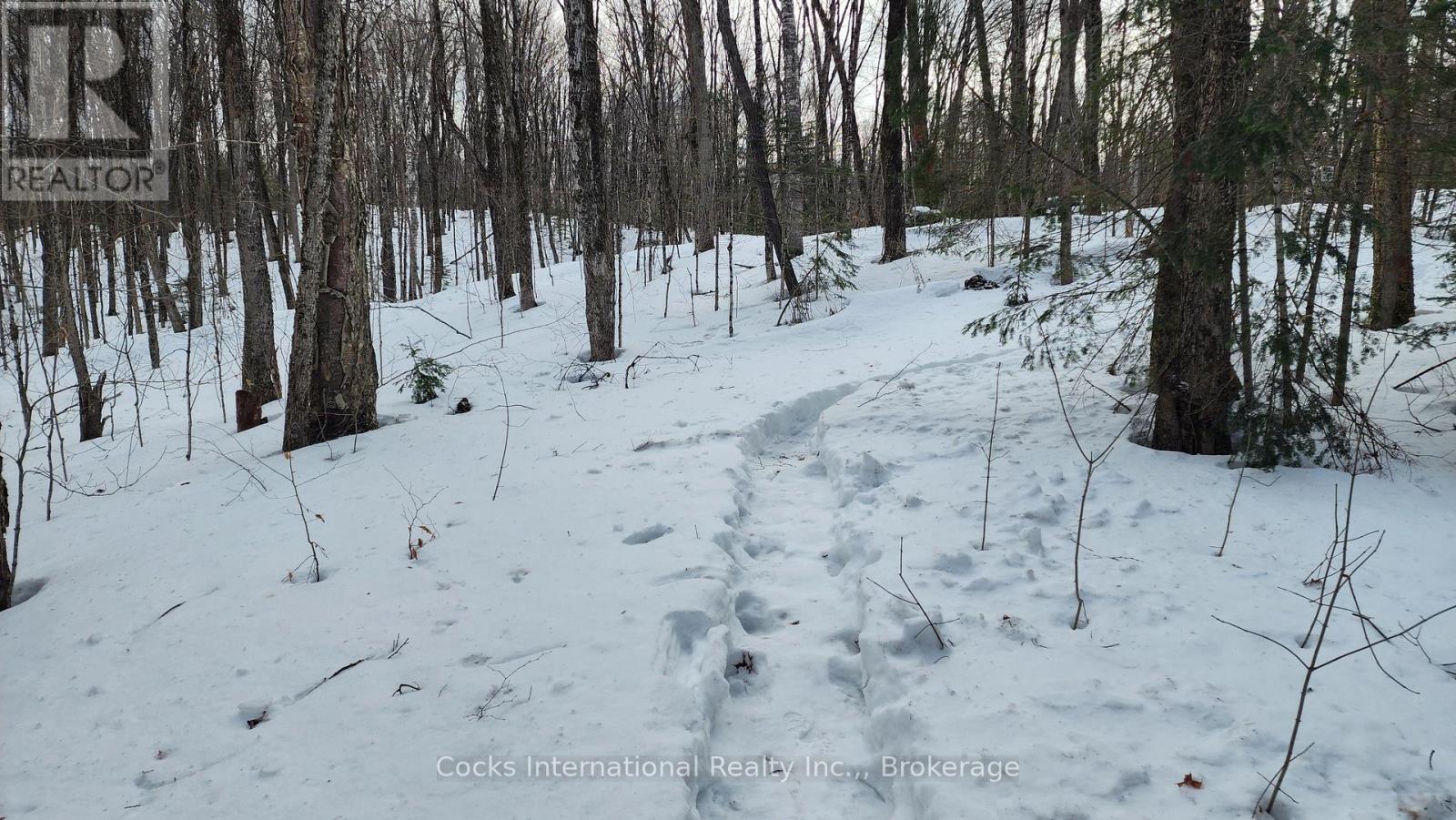 1165 Spring Lake Road, Bracebridge, Ontario  P1L 1X1 - Photo 4 - X12882212