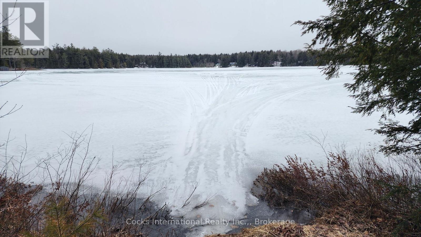 1165 Spring Lake Road, Bracebridge, Ontario  P1L 1X1 - Photo 6 - X12882212