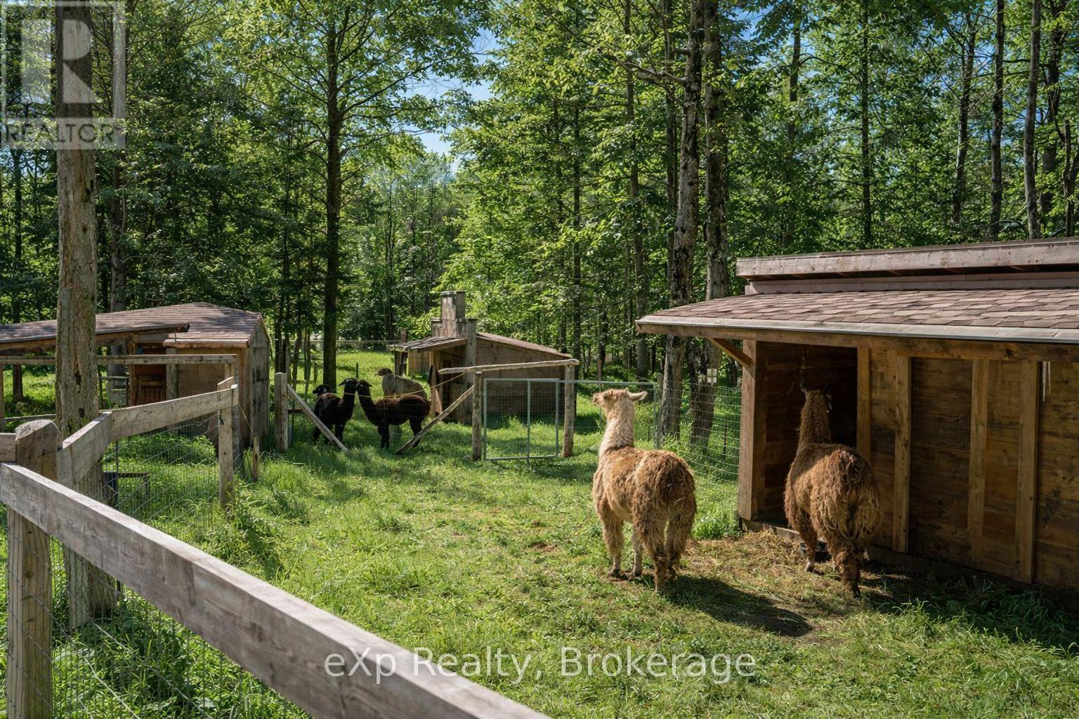 217 Forty Hills Road, Northern Bruce Peninsula, Ontario  N0H 1W0 - Photo 35 - X12882214