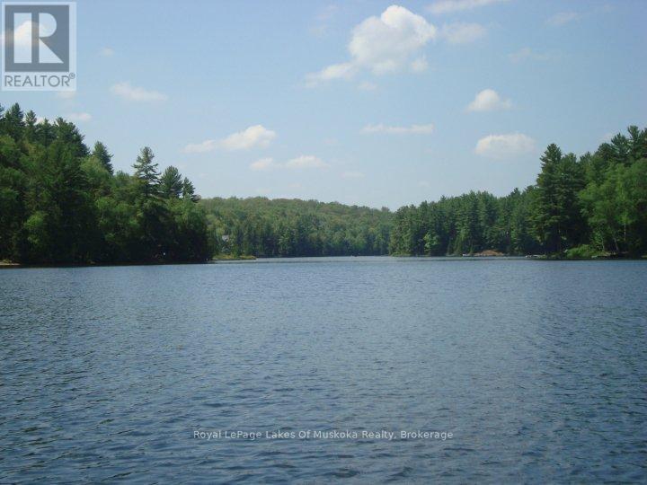 1012 Goodlife Lane, Algonquin Highlands (Sherborne), Ontario  P0A 0A8 - Photo 29 - X12882360