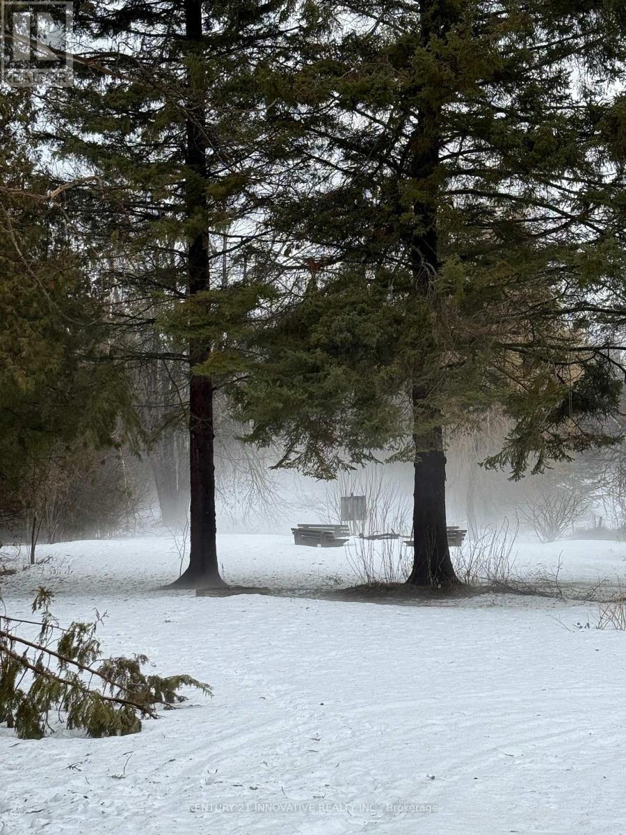 28700 On-12 Highway, Brock (Beaverton), Ontario  L0K 1A0 - Photo 15 - N12882396