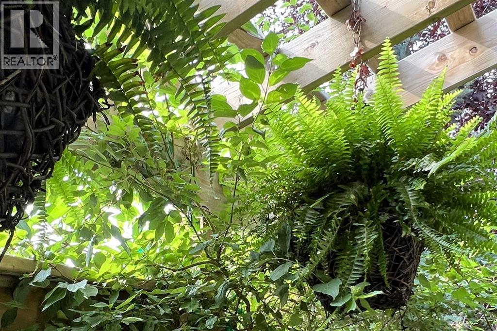 290 Tuscany Ridge Park Nw, Calgary, Alberta  T3L 2H8 - Photo 45 - A2292403