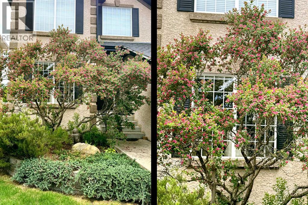 290 Tuscany Ridge Park Nw, Calgary, Alberta  T3L 2H8 - Photo 48 - A2292403