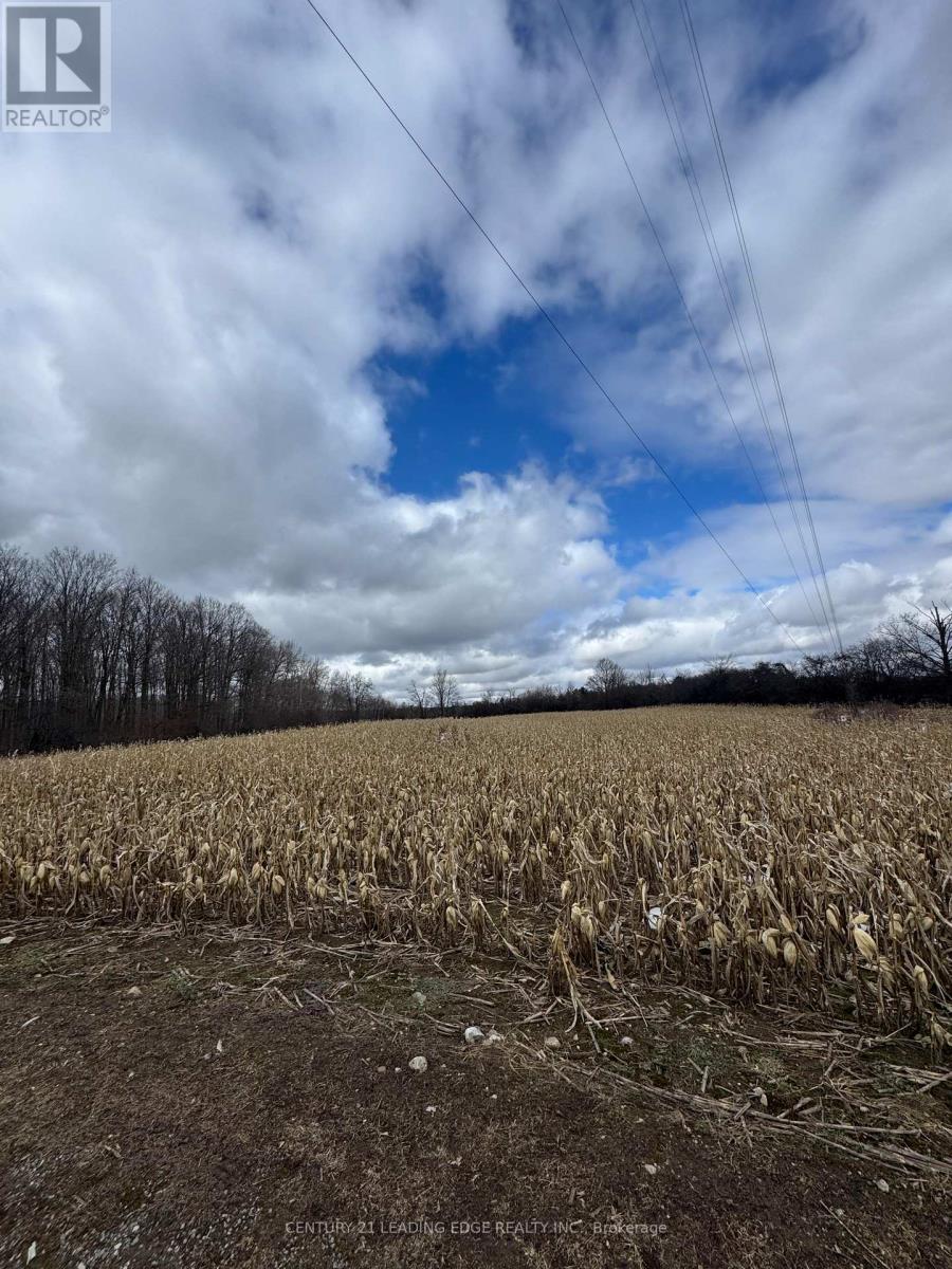 8700 Coronation Road, Whitby, Ontario  L0B 1A0 - Photo 5 - E12870118