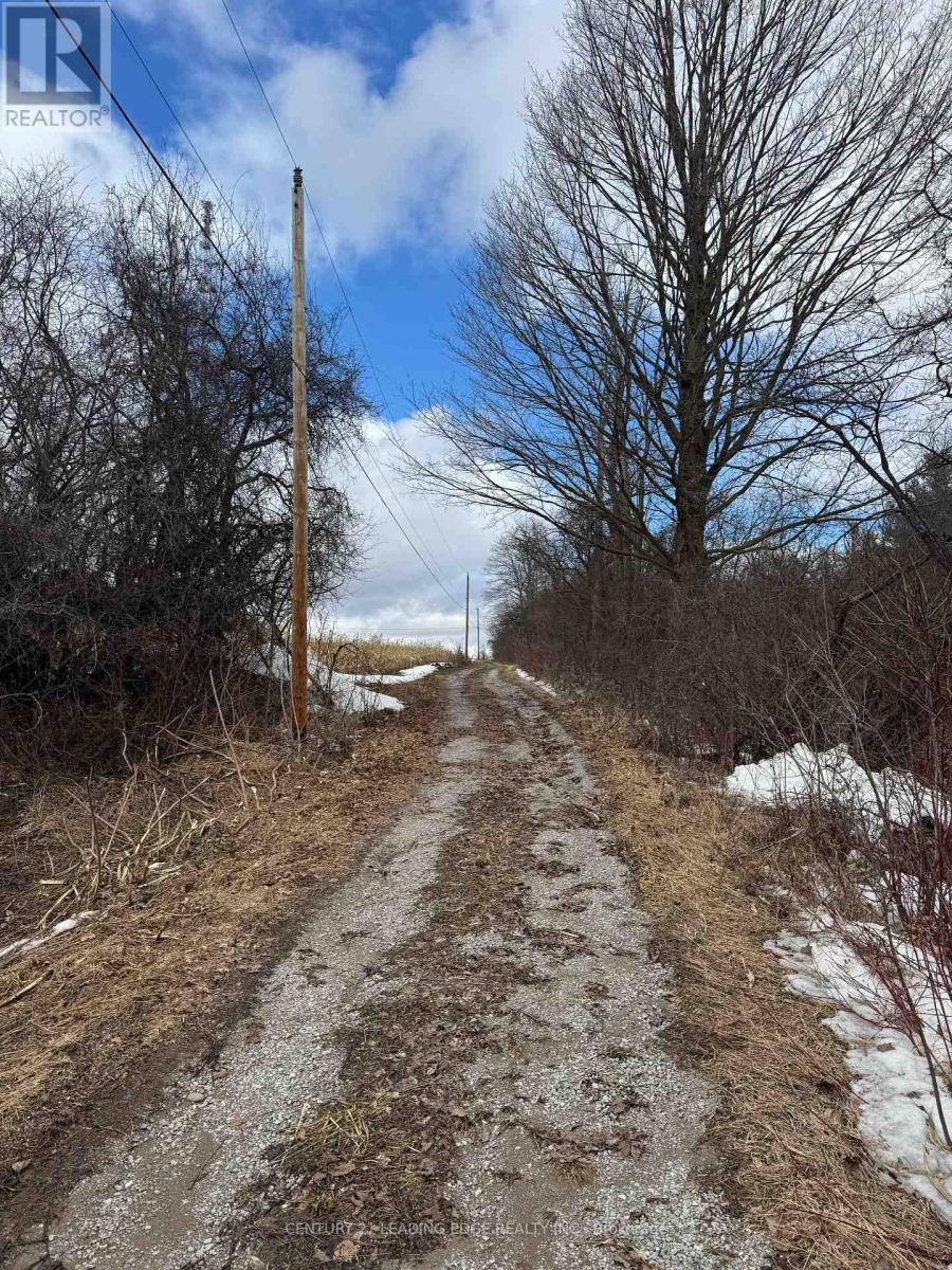 8700 Coronation Road, Whitby, Ontario  L0B 1A0 - Photo 3 - E12870118