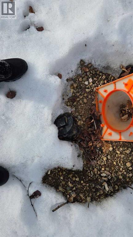 77, Crystal Springs Drive Drive, Crystal Springs, Alberta  T0C 2V0 - Photo 5 - A2293295