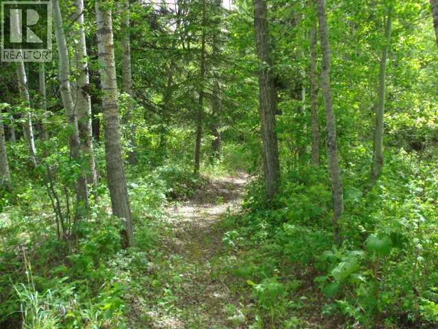 77, Crystal Springs Drive Drive, Crystal Springs, Alberta  T0C 2V0 - Photo 8 - A2293295