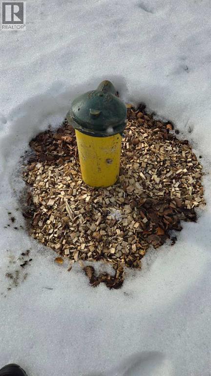 77, Crystal Springs Drive Drive, Crystal Springs, Alberta  T0C 2V0 - Photo 3 - A2293295