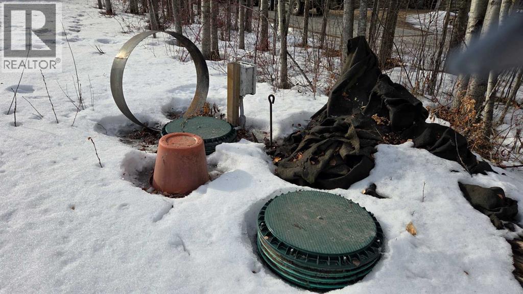 77, Crystal Springs Drive Drive, Crystal Springs, Alberta  T0C 2V0 - Photo 6 - A2293295