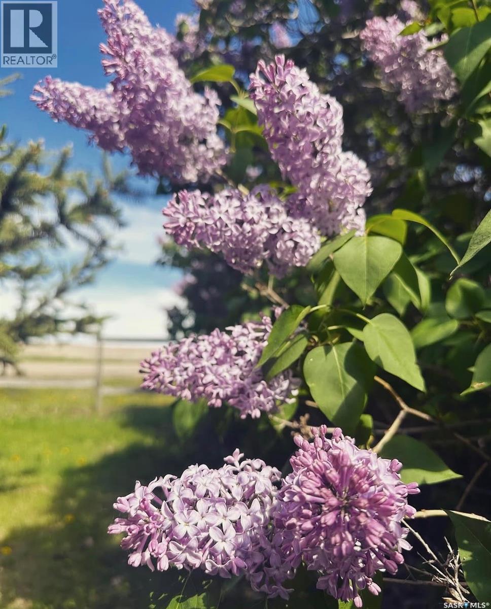 4 Stephen Street, Stewart Valley, Saskatchewan  S0N 2P0 - Photo 47 - SK029273