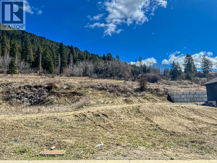 1126 12th Avenue N, Creston, British Columbia  V0B 1G6 - Photo 4 - 10378551