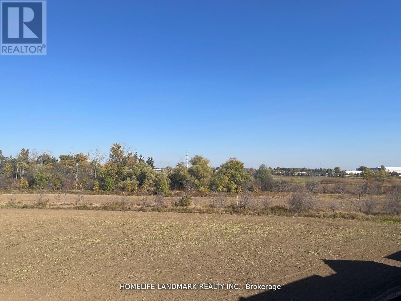 29 Millman Lane, Richmond Hill, Ontario  L4S 0P8 - Photo 14 - N12882630