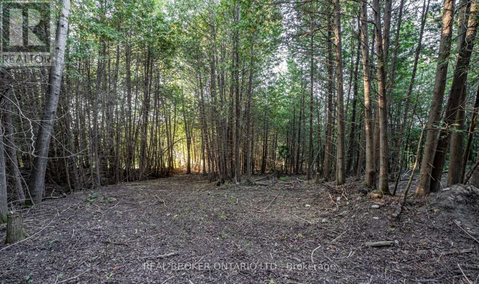 5703 10th Side Road, Essa, Ontario  L0L 1N0 - Photo 3 - N12882638