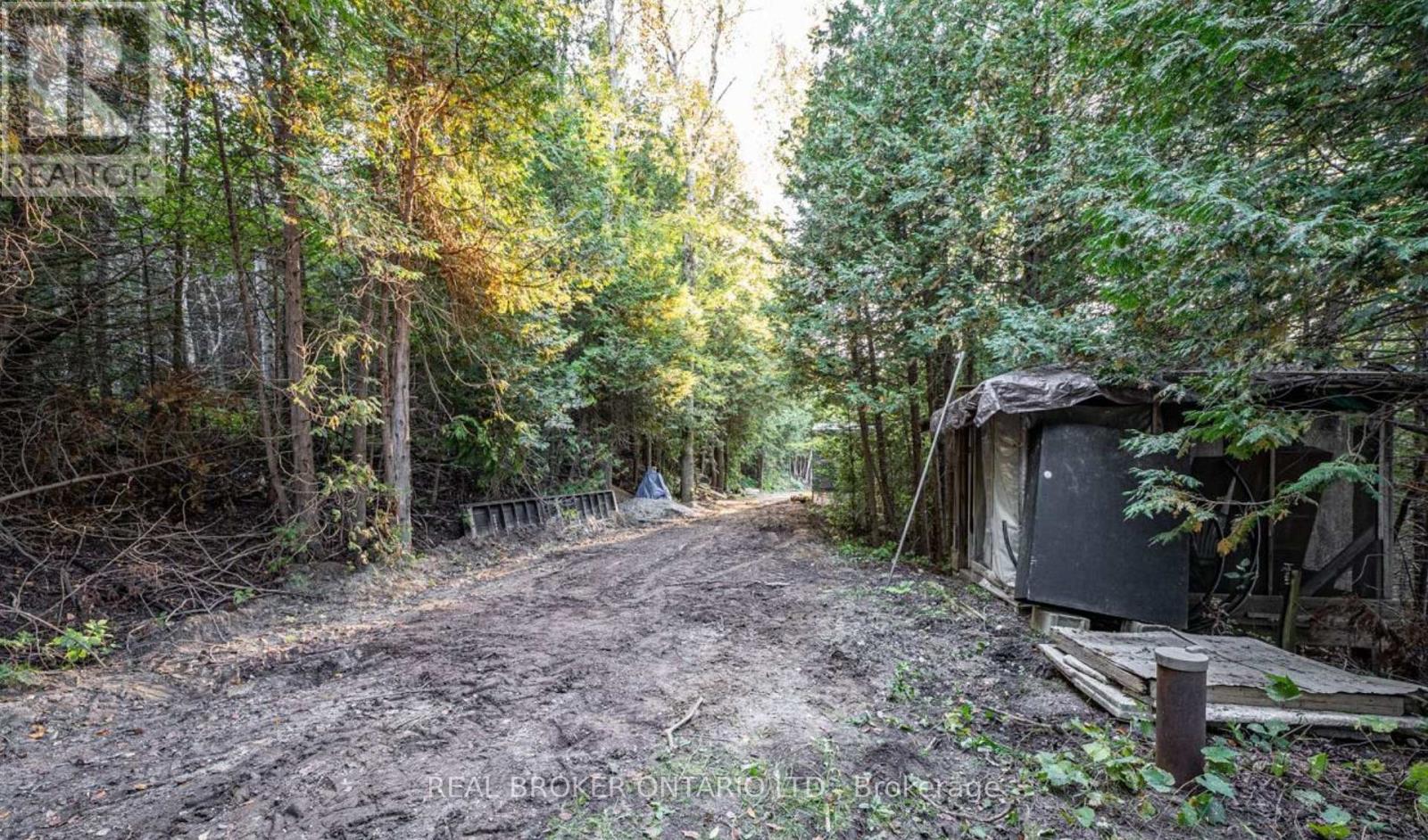 5703 10th Side Road, Essa, Ontario  L0L 1N0 - Photo 5 - N12882638