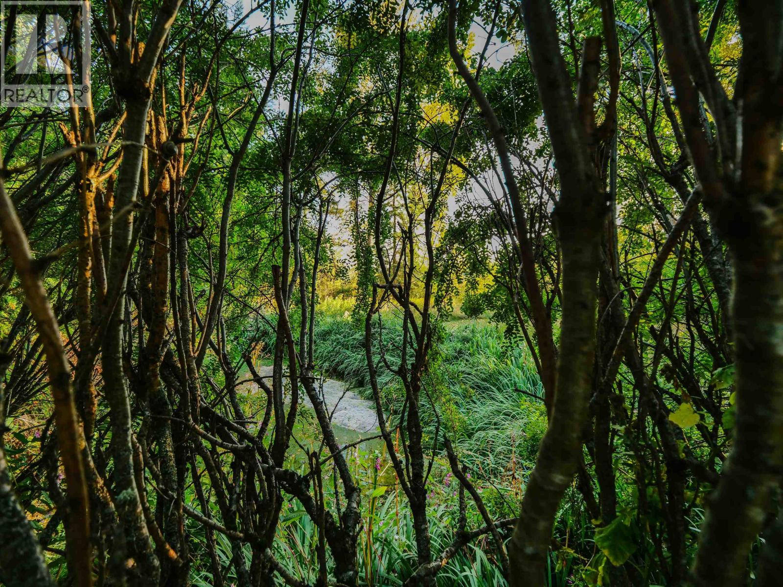 793 Walkem Street, Quesnel, British Columbia  V2J 2J8 - Photo 35 - R3099728