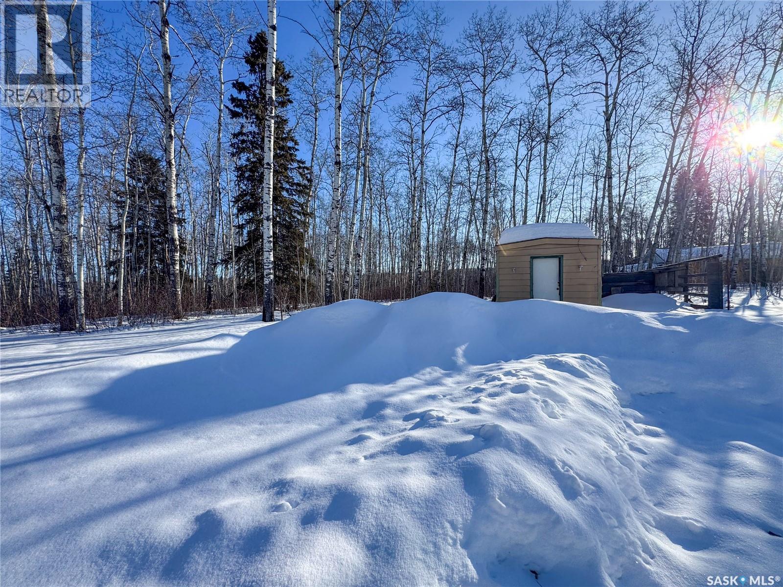 207 Brown Street, Paddockwood Rm No. 520, Saskatchewan  S0J 0N0 - Photo 25 - SK030150