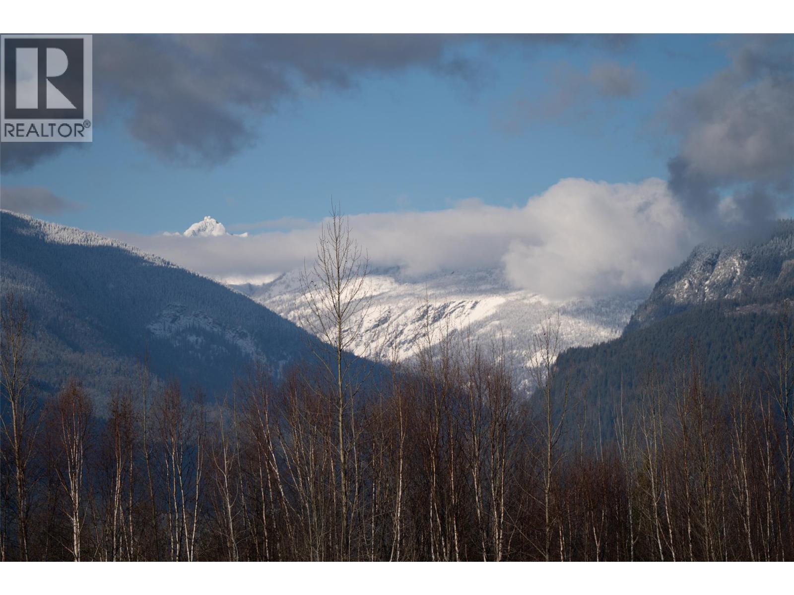 1702 Coursier Avenue Unit# 1301, Revelstoke, British Columbia  V0E 2S3 - Photo 29 - 10379393