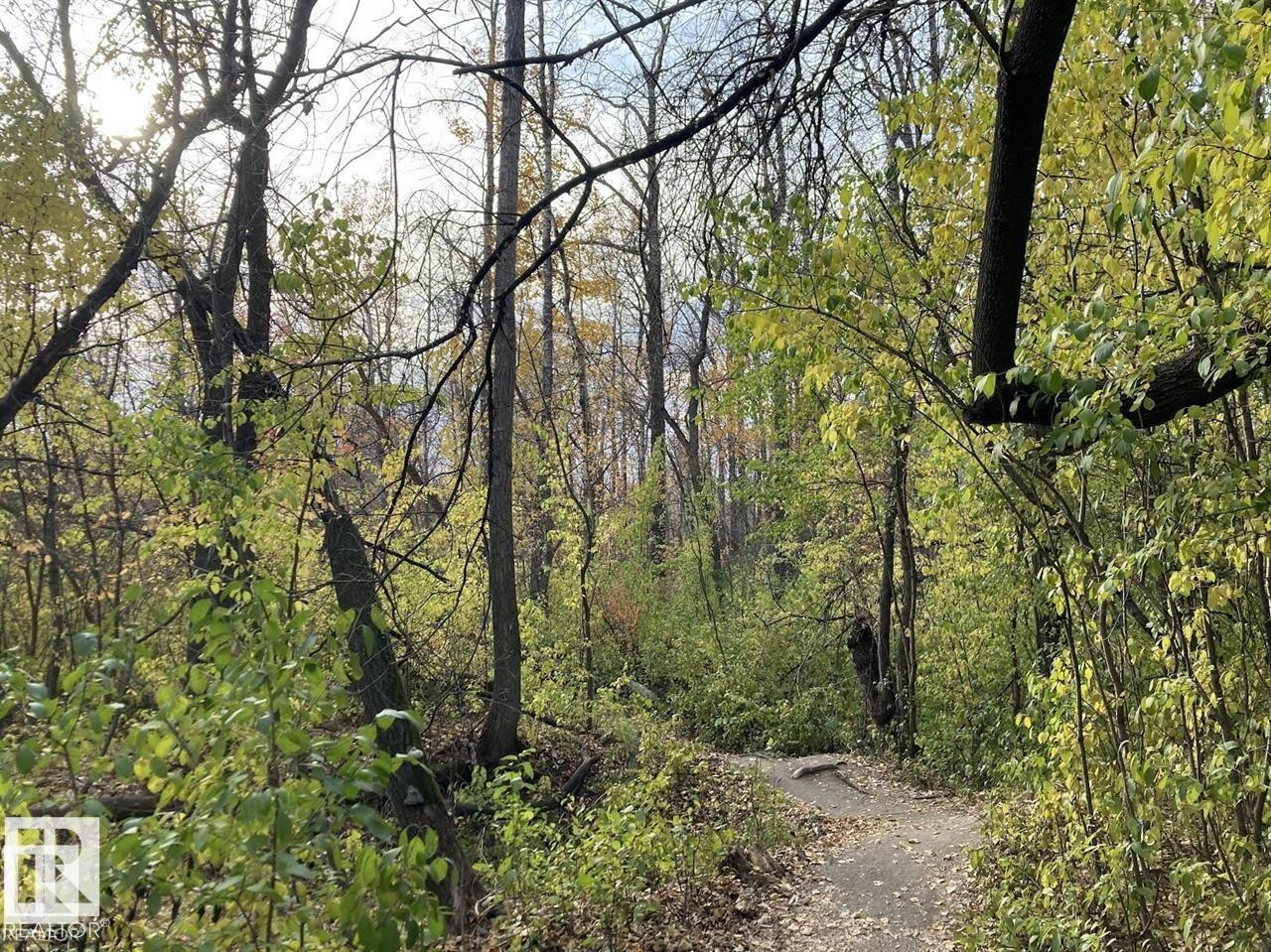 #303 7839 96 St Nw, Edmonton, Alberta  T6C 4R4 - Photo 53 - E4477481